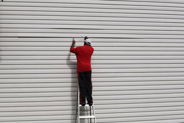 Best Fascia and Soffit Installation  in Clearwater, MN